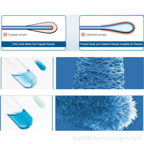 High-Tech Cells Specimen Collection Flocked Swab